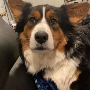 Meet your Posher, Michele